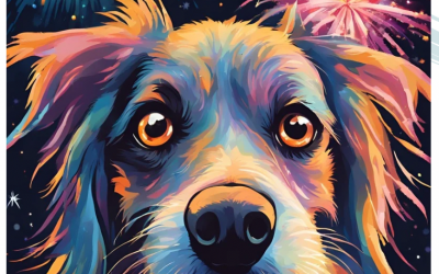 Silvester… Das Schreckgespenst für Hund und Halter